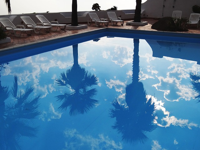 palmy u bazénu